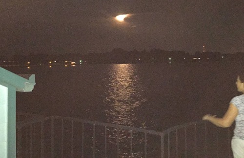 Seven Coves Condo | Tsui Manor @ 7 Coves, #1 - Fish, or Just Relax on the Balcony On the Water