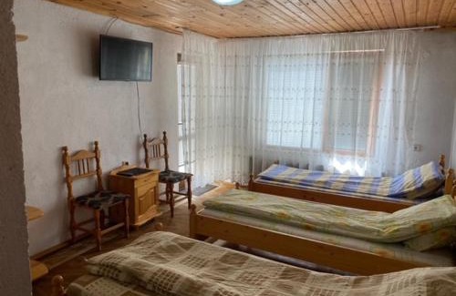 Dobrinishte House | Tsvetkovi Guest House