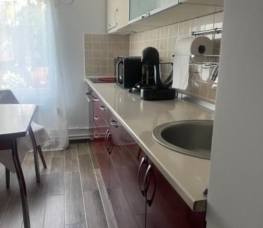 Mangalia Apartment | Tudor Apart Neptun