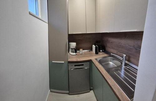 Bistrita Apartment | Tudor Central Apartment