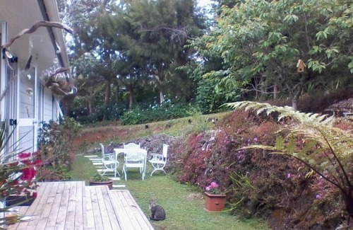 Kerikeri House | TUIS NEST- Private, yet central by river & Historical sites .8 nights stay min n