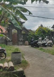 Lodtunduh House | Tunjung kuning