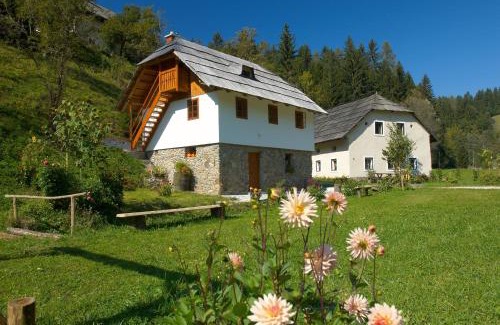 Prevalje Apartment | Turistična kmetija Povh