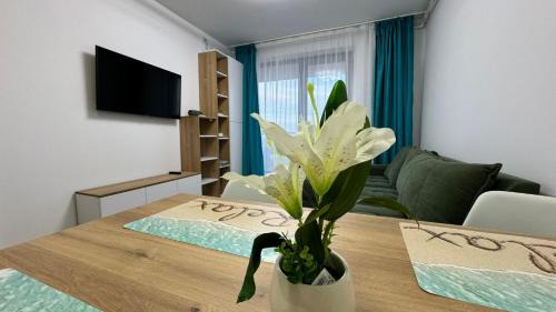 Constanta Apartment | Turquoise Vivo Studio