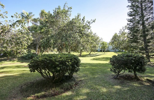 Kahuku Condo | Turtle Bay Primrose*ta-016722124801 1 Bedroom Condo by RedAwning