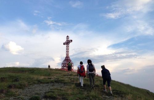 Poggio di Loro Apartment | Tuscany, Loro Ciuffenna Mountain Bike&walking