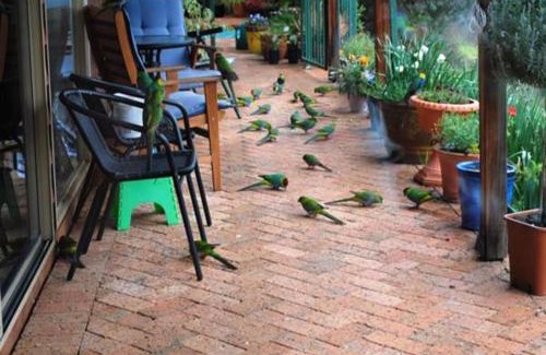 Bridgetown Cabin | Tweed Valley Lodge