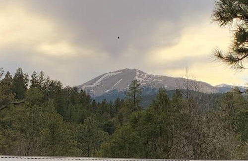 Ruidoso House | Twin Pines Casita - Big Yard, View, Porch, Hot Tub, & Charm