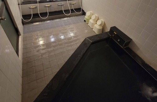 Izumisano Hotel | Twin room with round trip transfer to Kansai Airpo/Izumisano Ōsaka