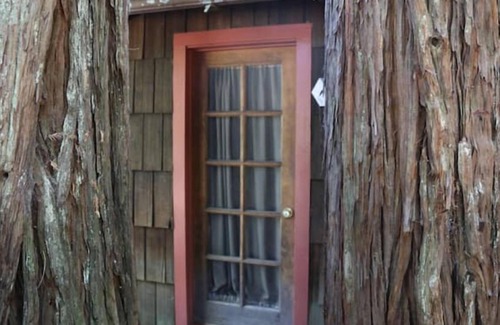 Garberville Cabin | "Twin Trees" Cabin River Access In Redwoods WiFinn