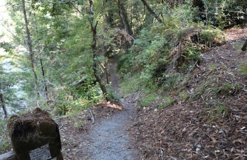 Garberville Cabin | "Twin Trees" Cabin River Access In Redwoods WiFinn