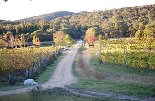Ballandean House | Twisted Gum Vineyard Cottage