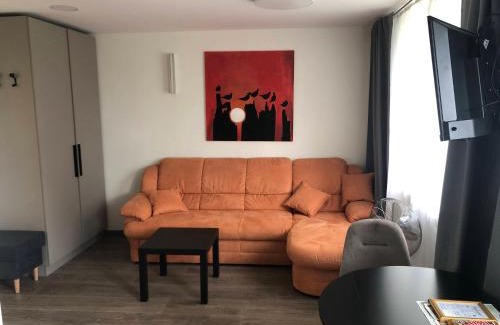 Birstonas Apartment | TWIX dvi skirtingos gretimos erdvės