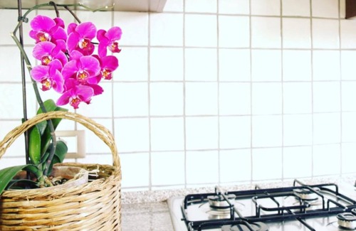 Teulada Apartment | Two Bedroom Apartment in the greenery in the center of Teulada Prepaid Non Refundable Rate