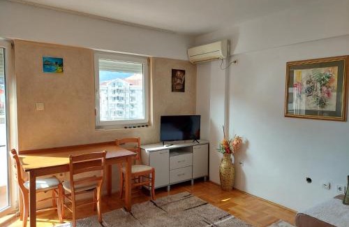 Rozino Apartment | Two-bedroom apartment with parking