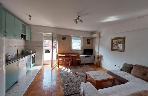Rozino Apartment | Two-bedroom apartment with parking