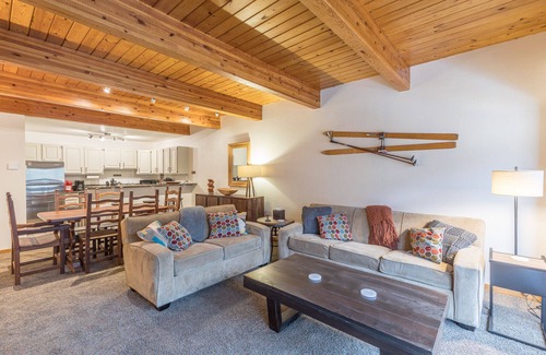 Telluride Condo | Two Bedroom Riverside Condo in Town Walk to Gondola ,Main Street and Trails