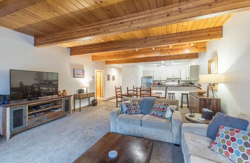 Telluride Condo | Two Bedroom Riverside Condo in Town Walk to Gondola ,Main Street and Trails