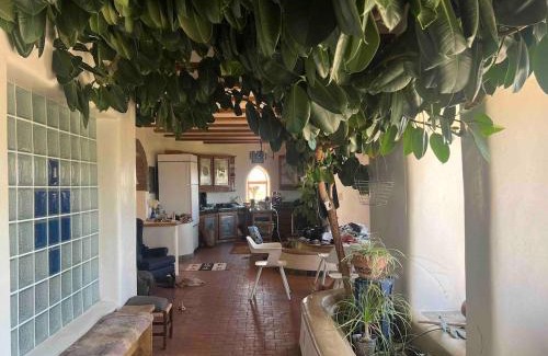 Arroyo Hondo House | Two Gorges Ranch - Rio Grande Canyon Gorge Taos