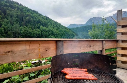 Azuga House | Two Rabbits mountain guesthouse
