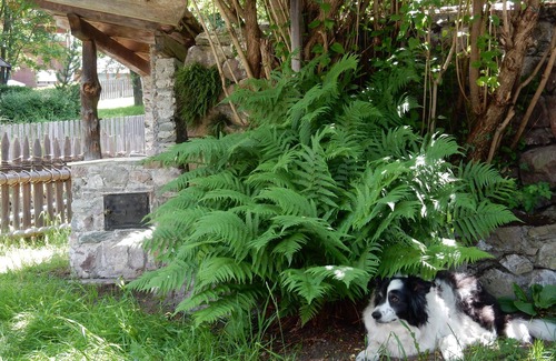Sarentino Cabin | Typical South Tyrolean vacation cottage with garden and terrace