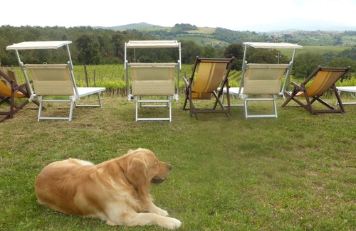 Trequanda Villa | Typical Tuscan villa