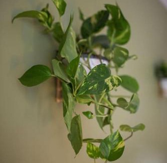 Tampere Apartment | Tyylikkäästi Retroa ja modernia Tampere Hervanta Atomikatu 5