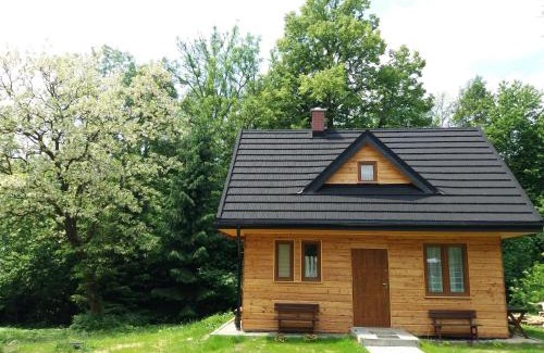 Lutowiska House | U Eskulapa Bieszczady