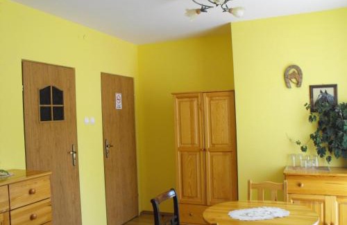 Lutowiska House | U Eskulapa