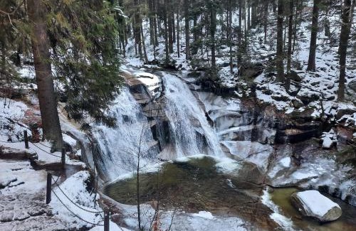 Harrachov Apartment | U jelena Harrachov - rodinný apartmán u lesa s garáží