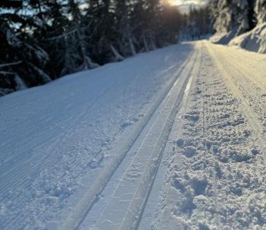 Harrachov Apartment | U jelena Harrachov - rodinný apartmán u lesa s garáží