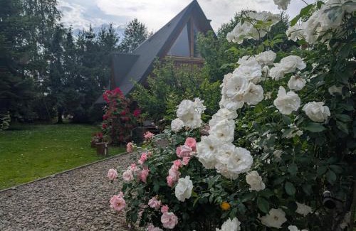 Gorlice Ski Chalet | U Leona