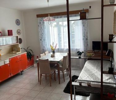 Hlucin House | U Ottmara