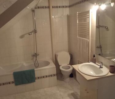 Pavlov Apartment | Ubytování Foltýn