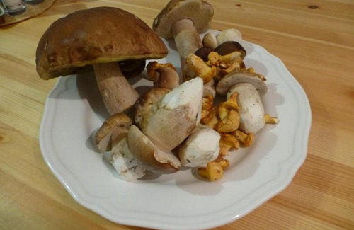 Kubova Hut House | Ubytování Lyžařská škola