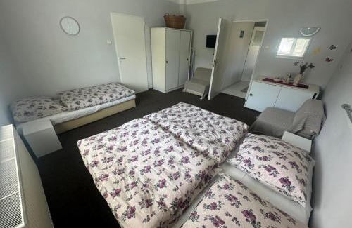 Rejstejn House | Ubytování Maxa Rejštejn