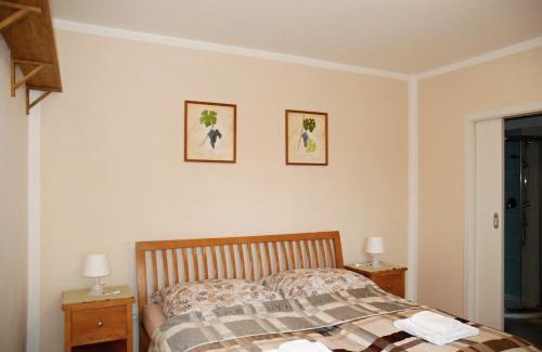 Valtice House | Ubytování Na Vinici