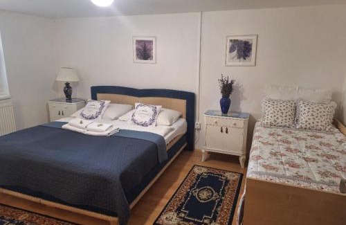 Valtice House | Ubytování u Bilkovičů
