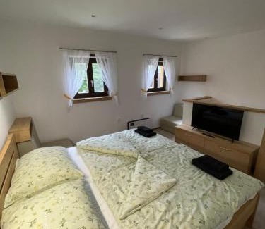 Racice-Pistovice House | Ubytování u Kolóška