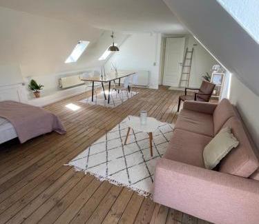 Odense House | Udlejning af to værelser med udsigt til parken beliggende i centrum