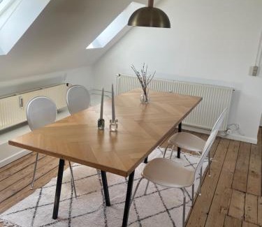 Odense House | Udlejning af to værelser med udsigt til parken beliggende i centrum