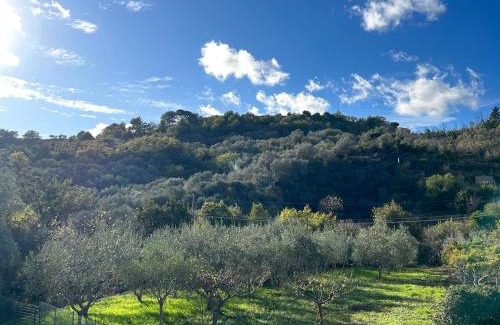 Imperia Apartment | ULIVI - Comodità e tranquillità con Patio e Parcheggio