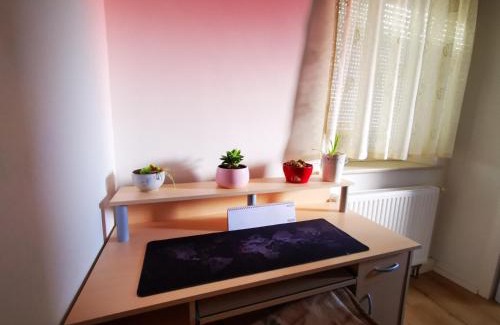 Ulm Apartment | Ulm 2-room Apartment near university & city Centre