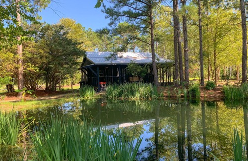 Elberta Cottage | Ultimate Luxury Modern Cottage Getaway * BOAT, Kayaks, Canoe! DOLPHINS