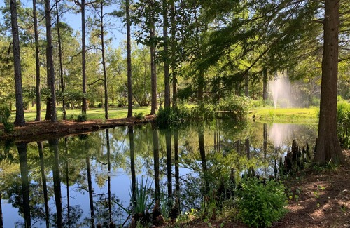 Elberta Cottage | Ultimate Luxury Modern Cottage Getaway * BOAT, Kayaks, Canoe! DOLPHINS