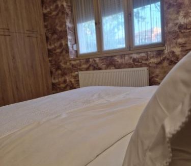 Oradea Apartment | Ultra-central apartament Kogălniceanu