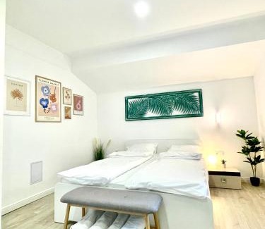 Tirgu Mures Apartment | Ultracentral modern city view apartment