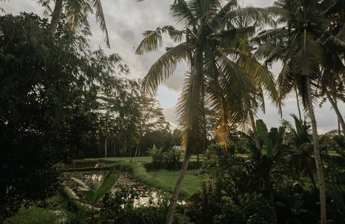Mas Villa | Uma Lys Villa Ubud