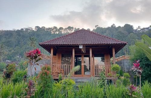 Sidemen Villa | Umedevasya