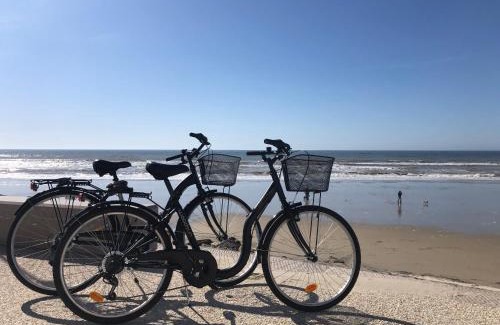 Hardelot-Plage Apartment | Un cocon zen les pieds dans l'eau à Hardelot